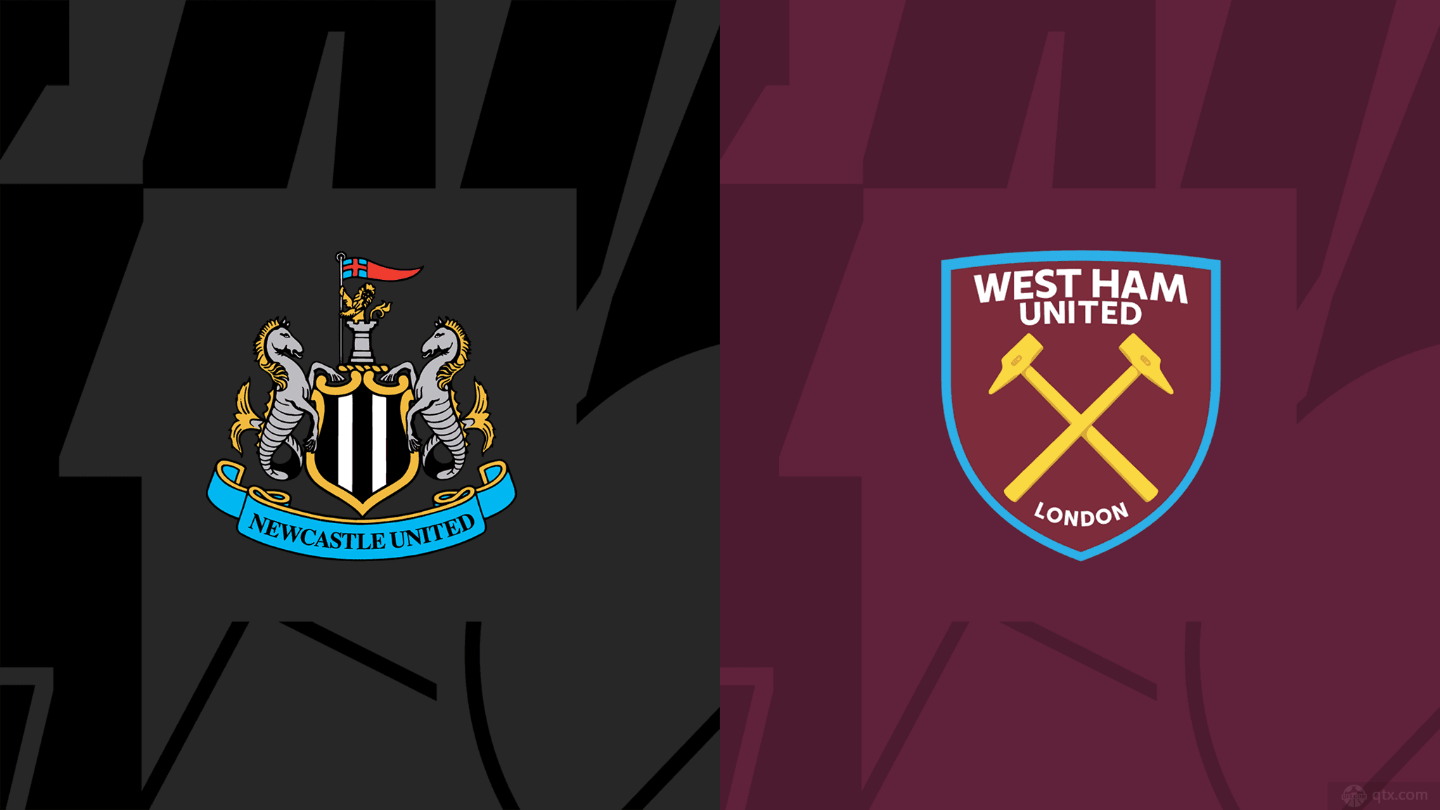 去夏引进的 去夏引进的